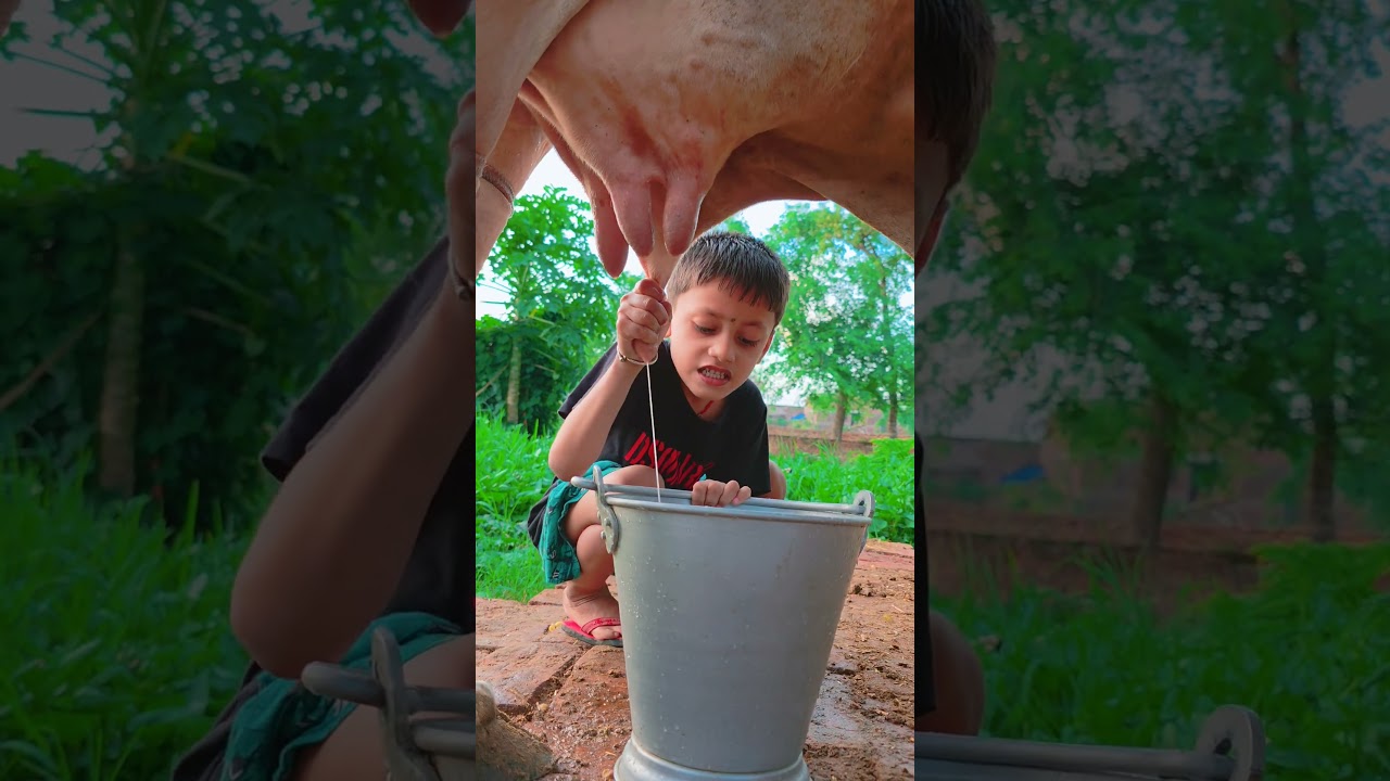 choti choti gaiya tygh h #love #song #funny