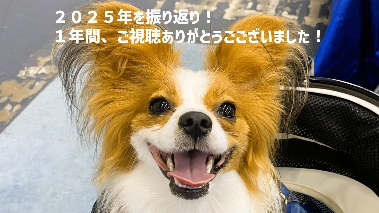 2025年を振り返り！