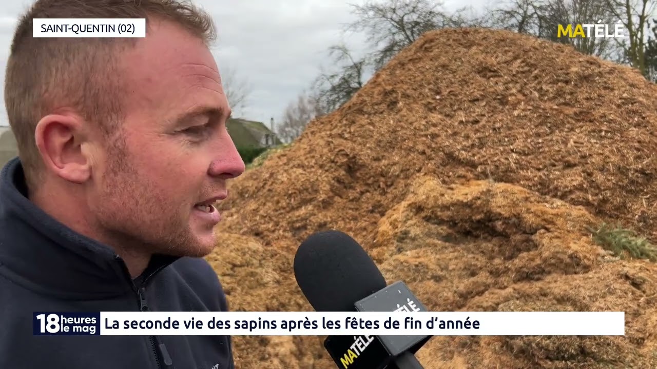 VIE LOCALE : La seconde vie des sapins après les fêtes de fin d'année