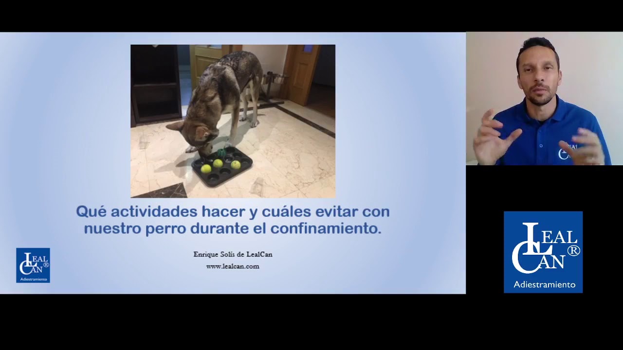 Ponencia de Enrique Solís sobre ACTIVIDADES para hacer con nuestro PERRO | LealCan Adiestramiento