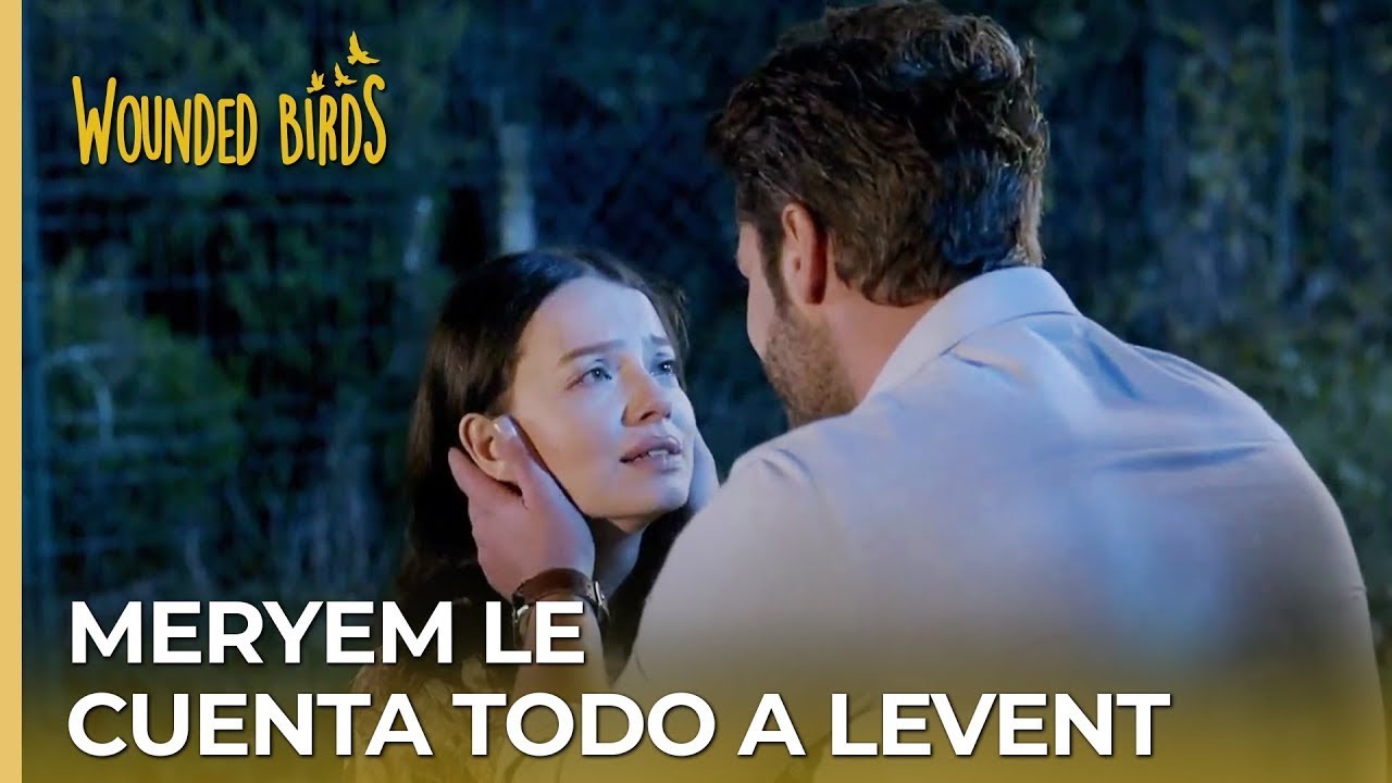 Meryem le cuenta todo a Levent | Wounded Birds (Yaralı Kuşlar) Capítulo 168