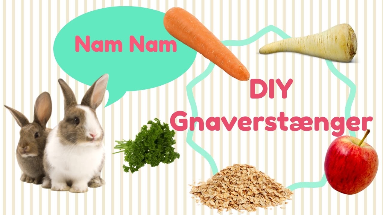 DIY GNAVER ST&AElig;NGER