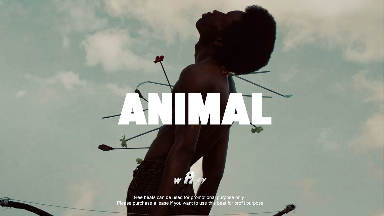 Afrobeat Instrumental 2025 x Burna Boy ft Omah lay Type Beat 
