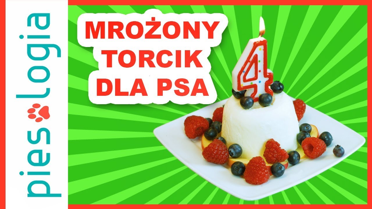 Mrożony torcik urodzinowy z owocami 🎂🐶🎉
