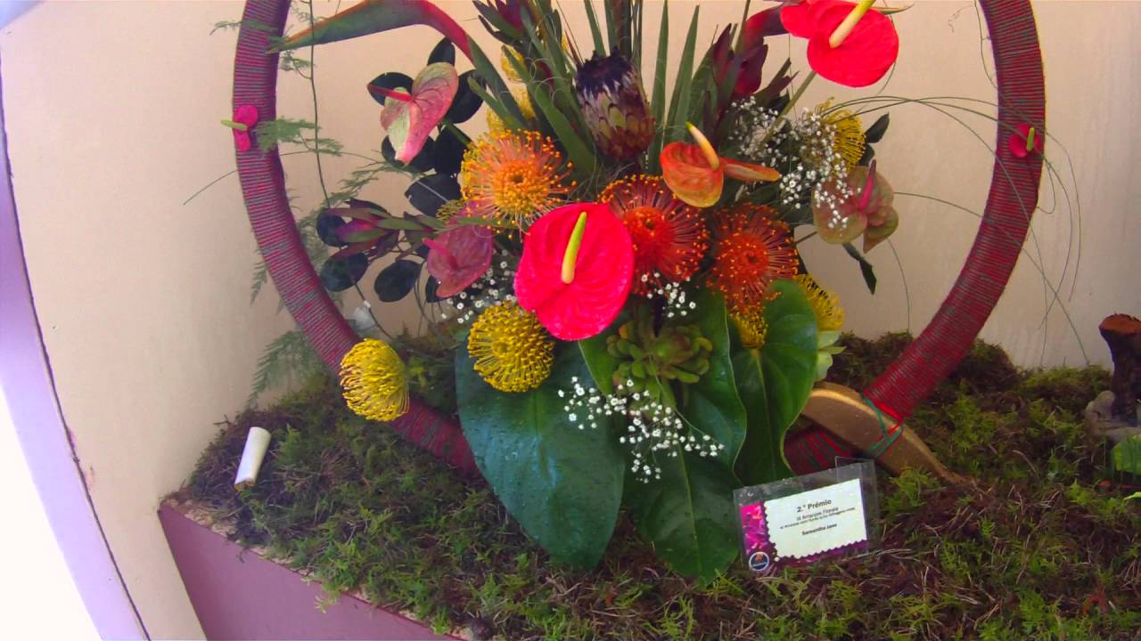 61.&ordm; Exposi&ccedil;&atilde;o da Flor na Pra&ccedil;a do Povo ano 2016 -1&ordm;parte