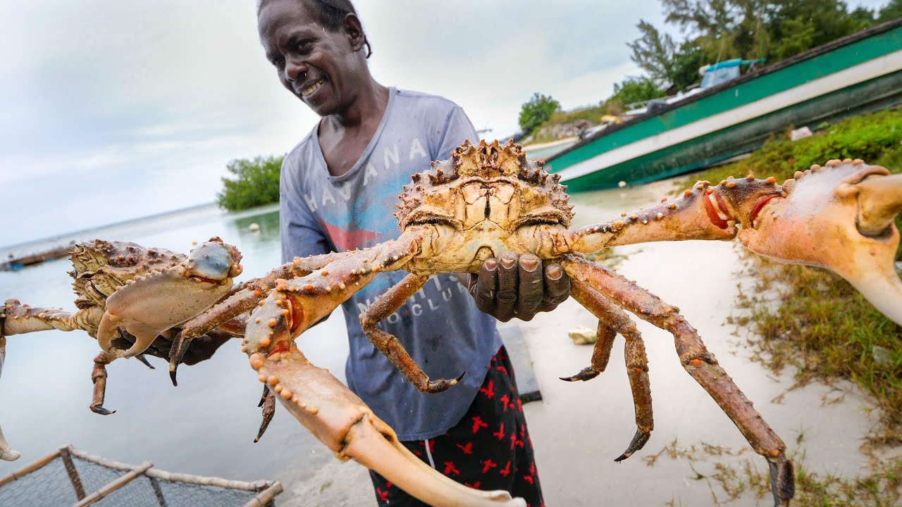 Huge Caribbean KING CRAB 🦀 RUNDOWN!! Jamaican Seafood Tour - Jamaica! 🇯🇲