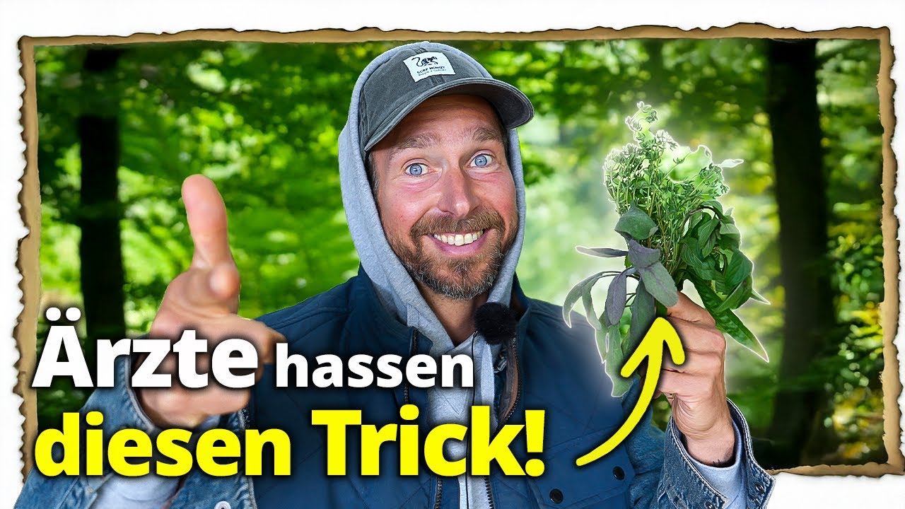 Die Top 9 Heilpflanzen für die Hausapotheke im Herbst & Winter