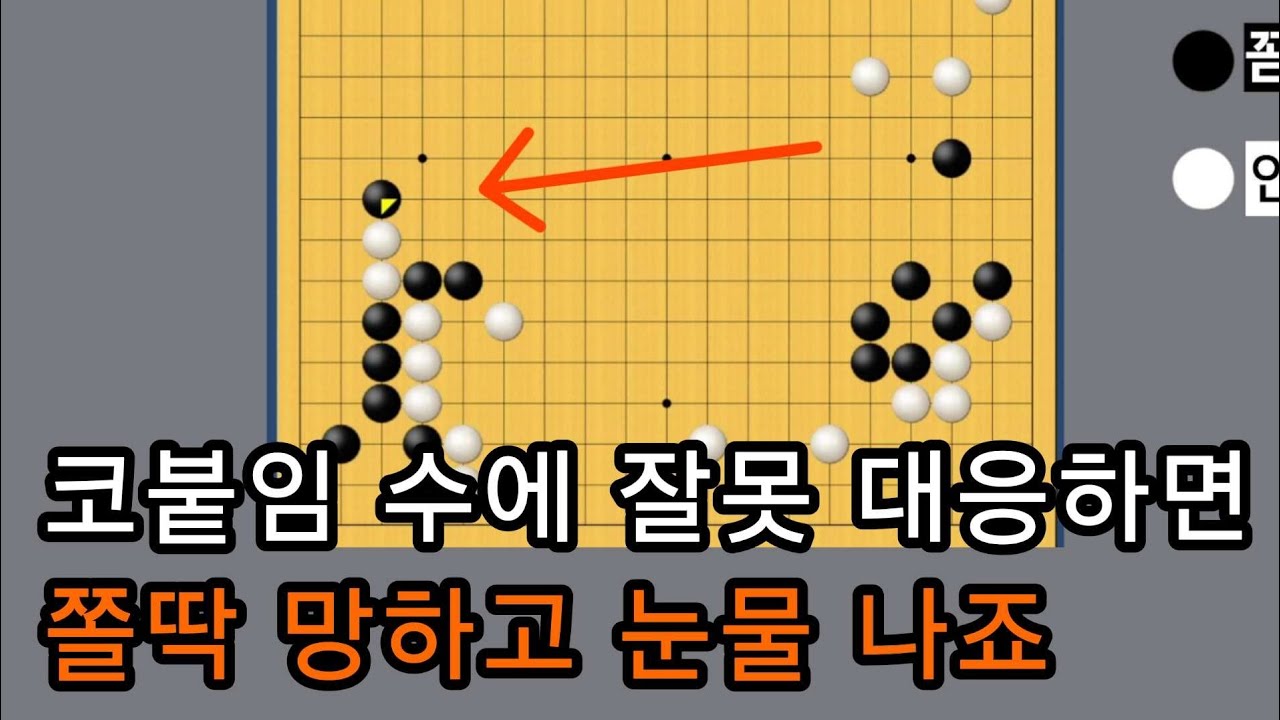 서로간의 노림수로 도배된 대국 ㅎㅎㅎ