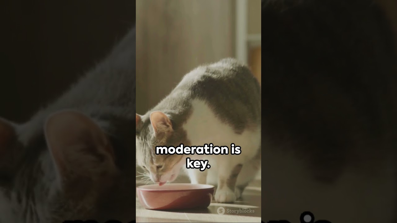 Cat Nutrition: What They Can (and Can't) Eat" 