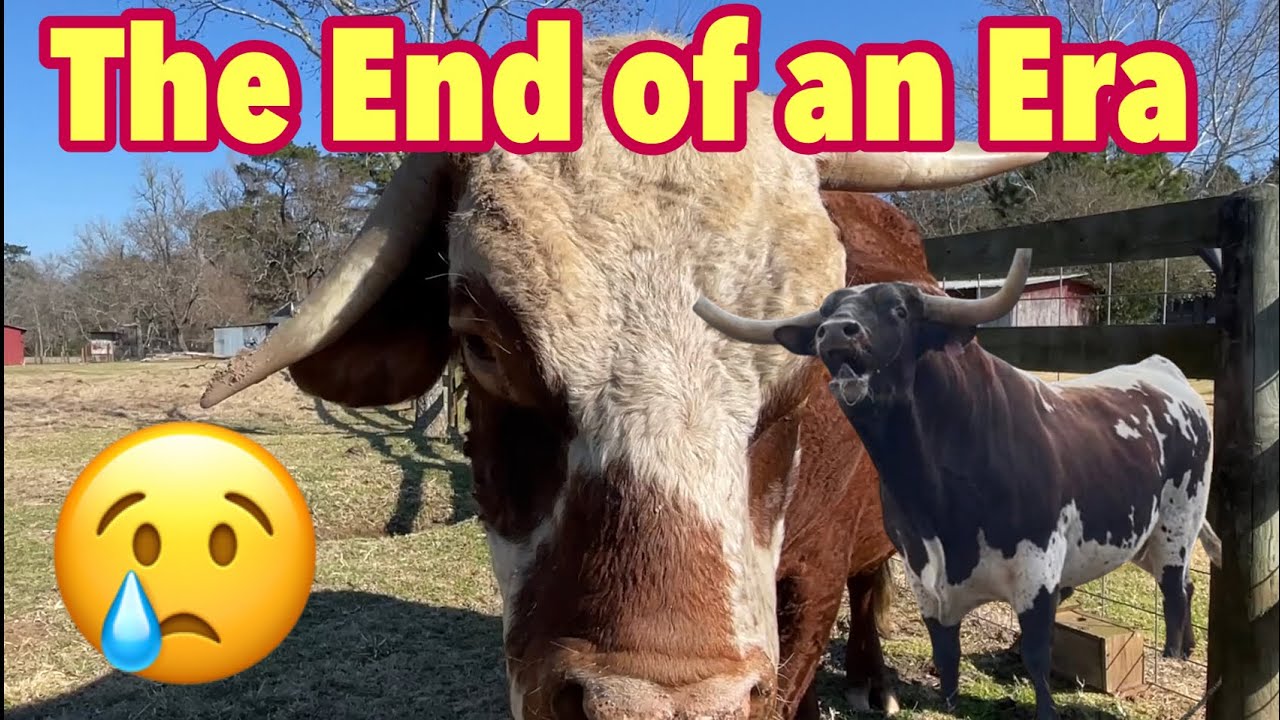 The End Of An Era #LonghornLester’s