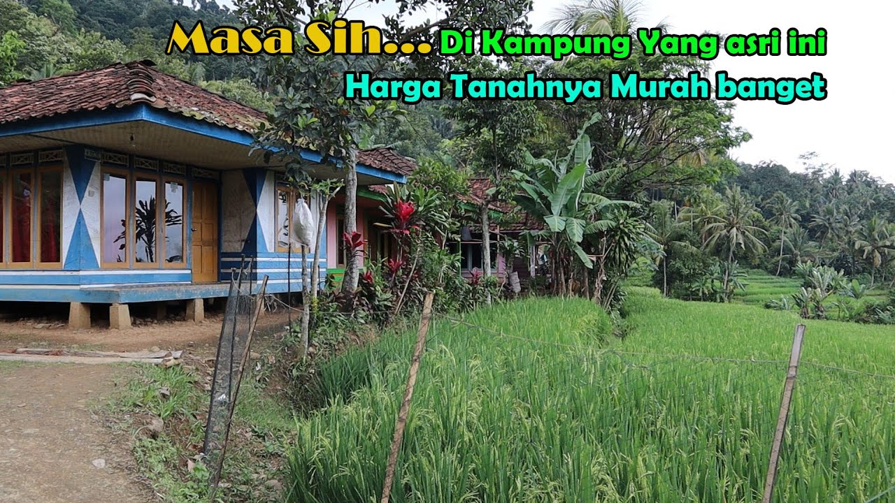 Kampung Di Cianjur Sangat Asri, Warganya Ramah Ramah....