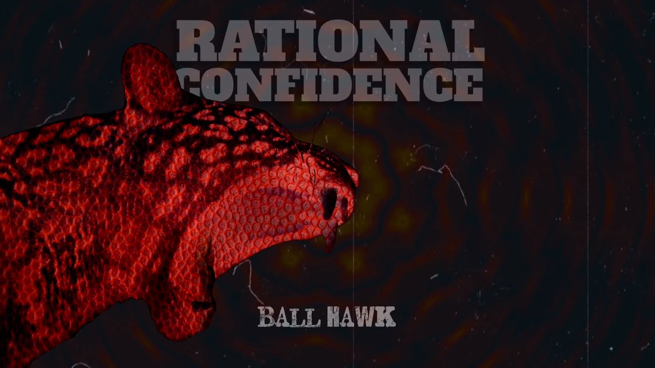Ball Hawk - Space Leopard | Hip Hop Sports x Hybrid Cinematic Electronica