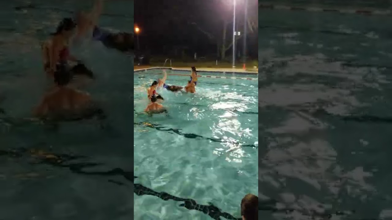 Chicken Fights
