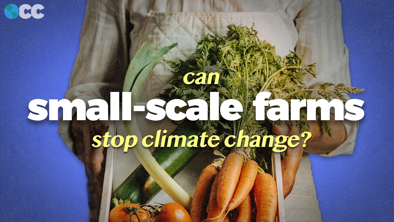 Can Small-Scale Farming Feed the World?