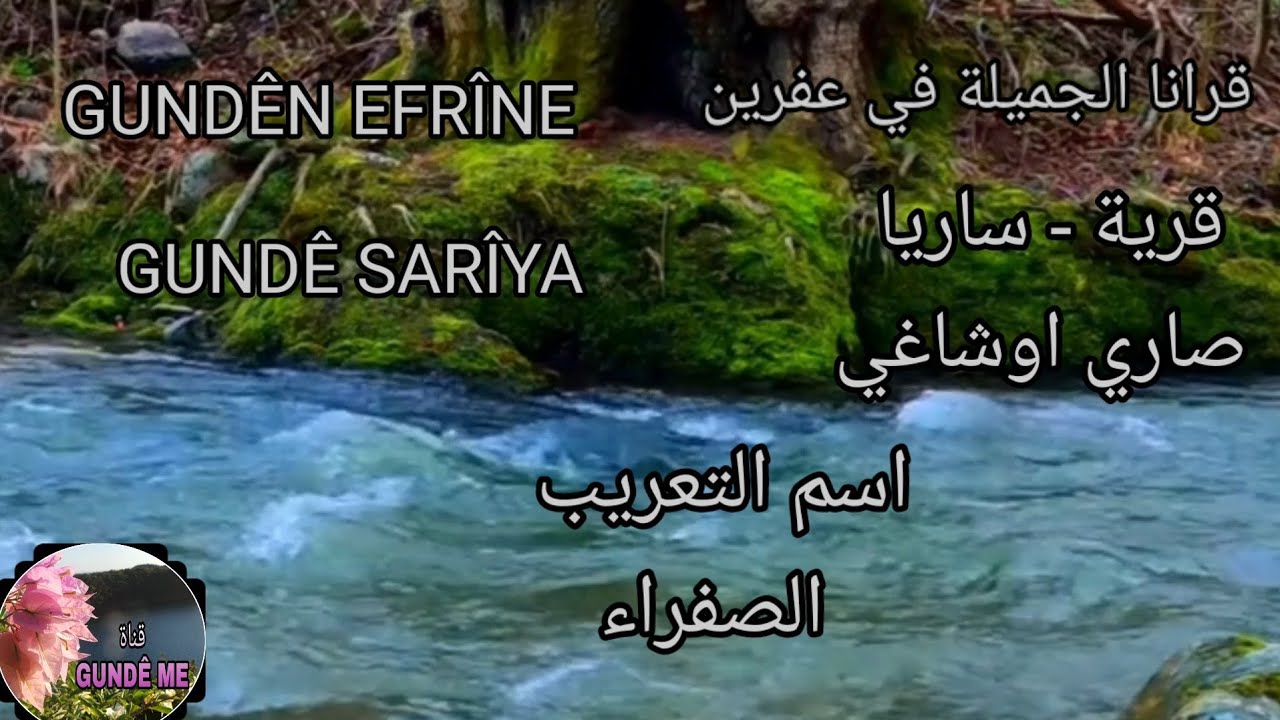 قرانا الجميلة - قرية * ساريا - صاري اوشاغي - SARÎYA *