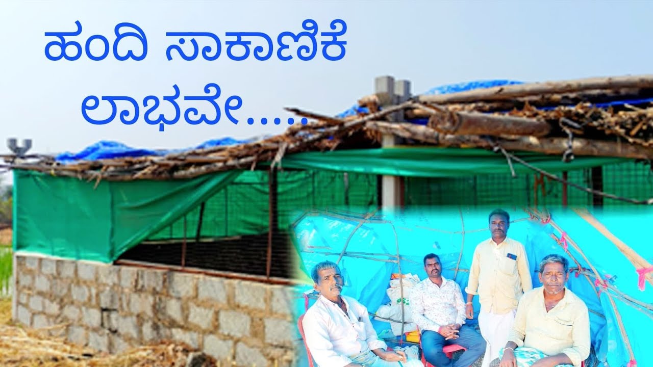 ಹಂದಿಗಳನ್ನು ಸಾಕುವವರಿಗೆ ನಾವು ಹಂದಿಗಳನ್ನು ಪೂರೈಸುತ್ತೇವೆ.