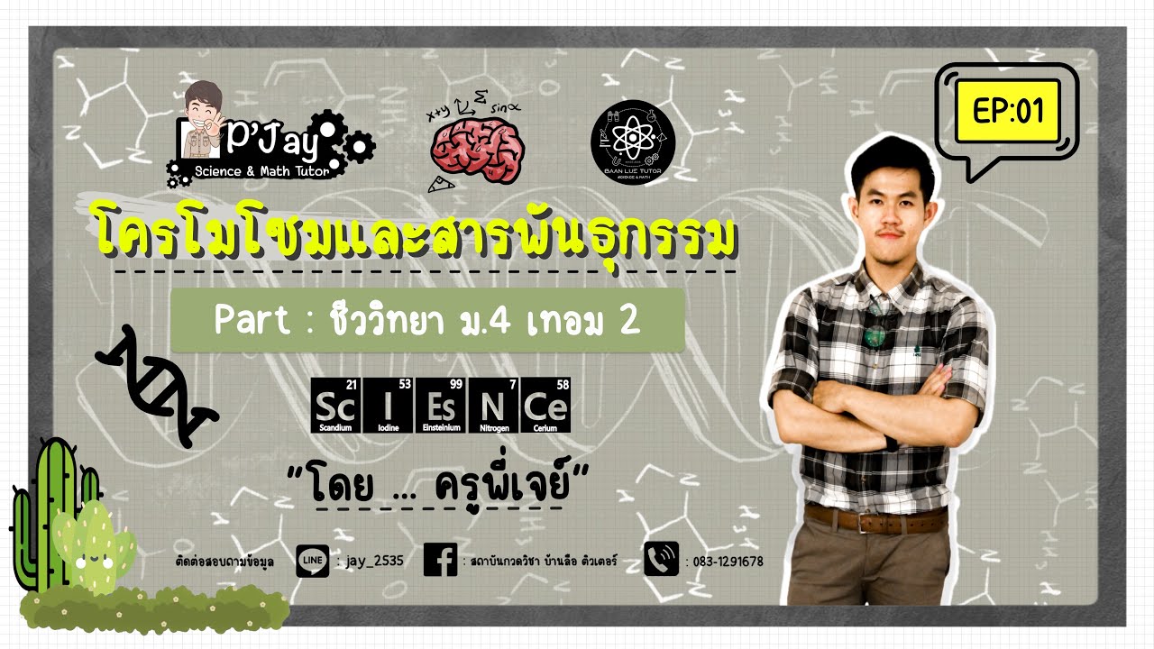 โครโมโซมและสารพันธุกรรม ~  ชีวะ ม.4 EP : 1 | Kru P'Jay