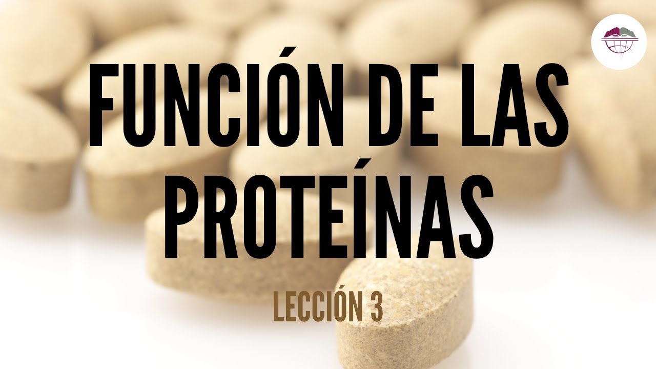 3. CONCEPTOS BÁSICOS DE LA FUNCIÓN DE LAS PROTEÍNAS (NUTRICIÓN ORTOMOLECULAR)