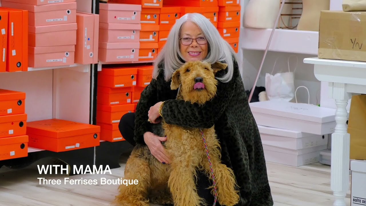 SAGE THE AIREDALE:  A LIFE WELL LOVED