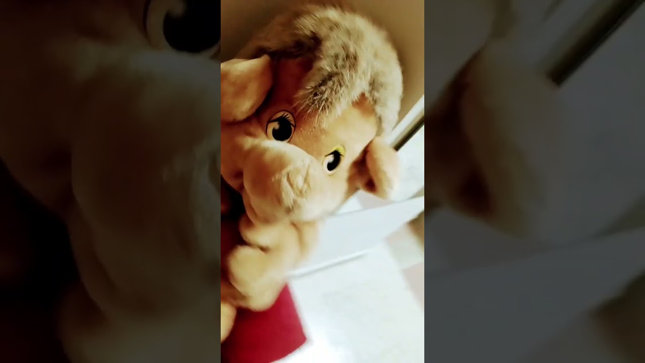 #хочуврекомендации