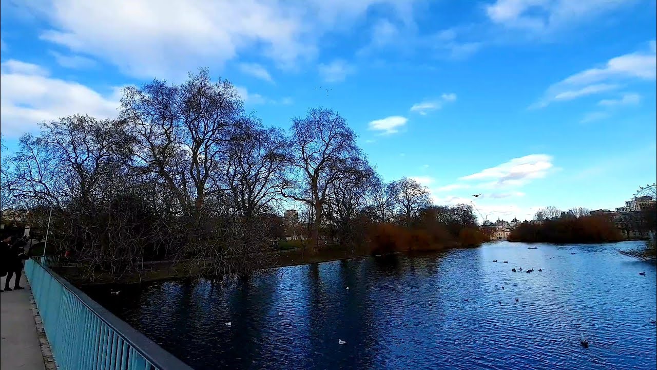 4K - WALKING LONDON'S WATERFOWL , DUCK ISLAND COTTAGE & PELICANS OF ST. JAMES'S PARK | March 2021