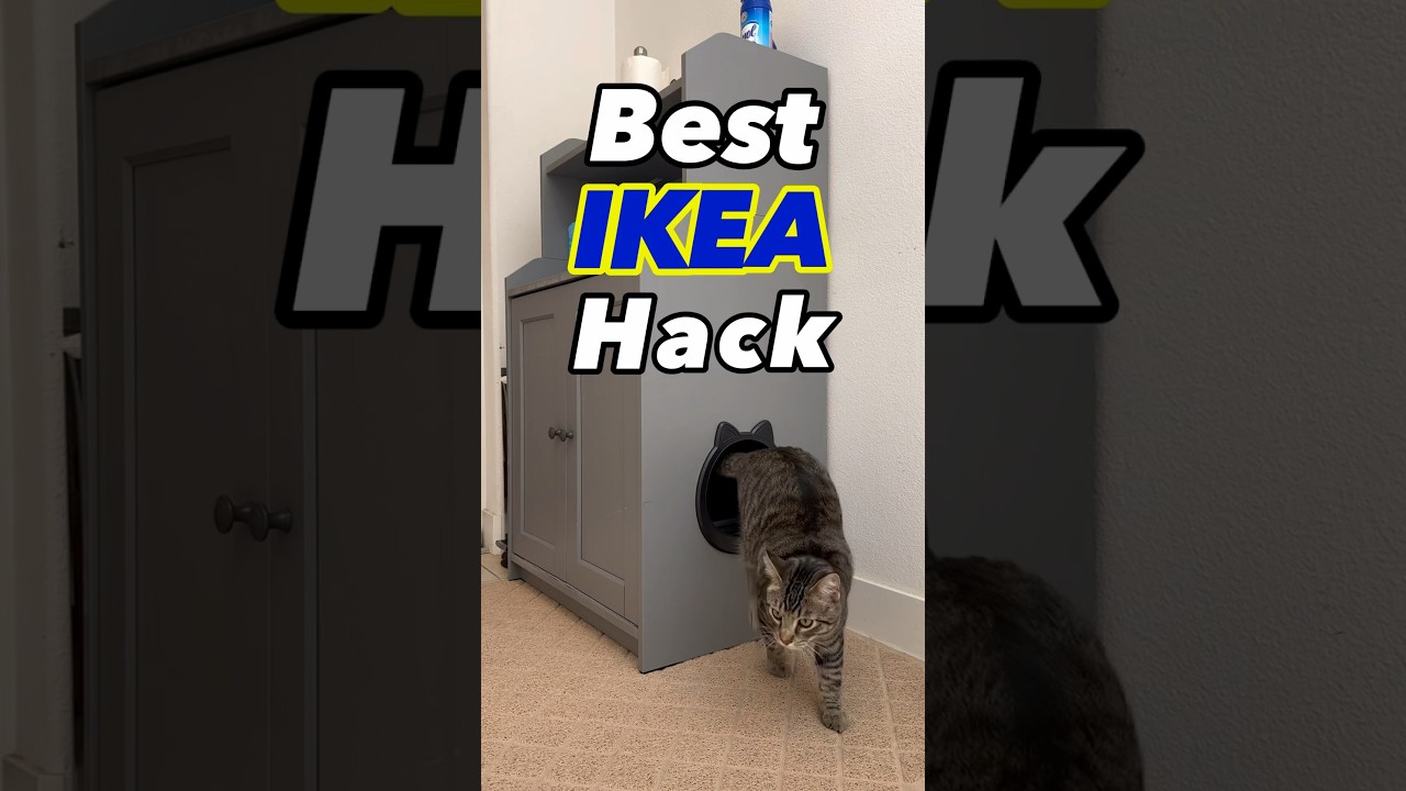 Perfect kitty outhouse & storage solution with HAUGA cabinet from #ikeausa #ikeahack