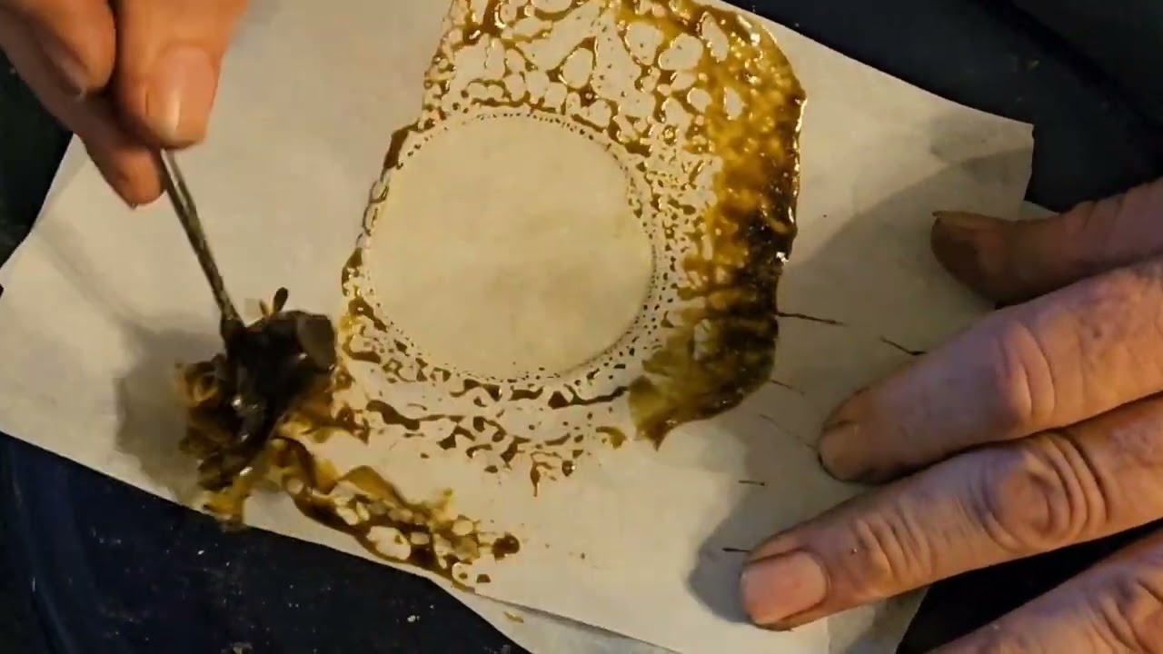CBD Kief Rosin Pressing, 35% Return, I Mix it With Reg Rosin for Truly Medical Experience, Best Yet