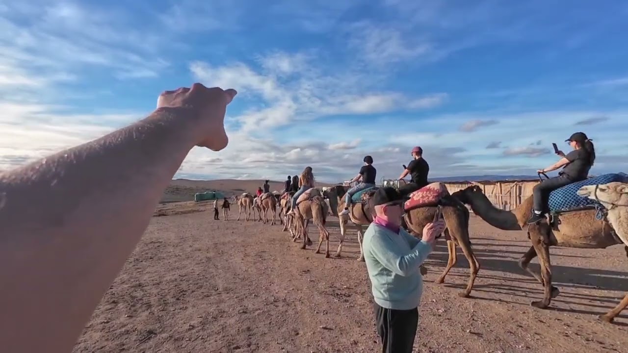 Marrakech to Agafay Desert Tour | Camel Trek, Quad Biking & Magical NYE Dinner