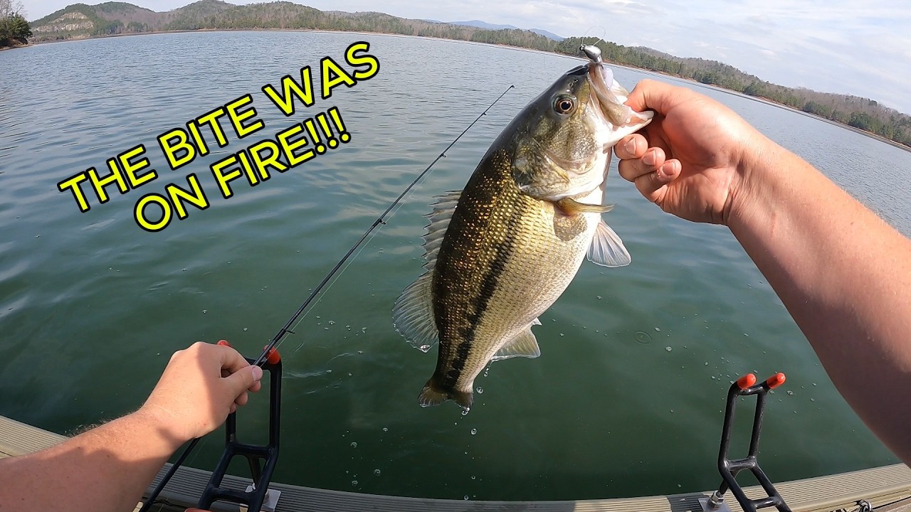 Small Swimbait = BIG Pre-Spawn Spotted Bass | Carters Lake