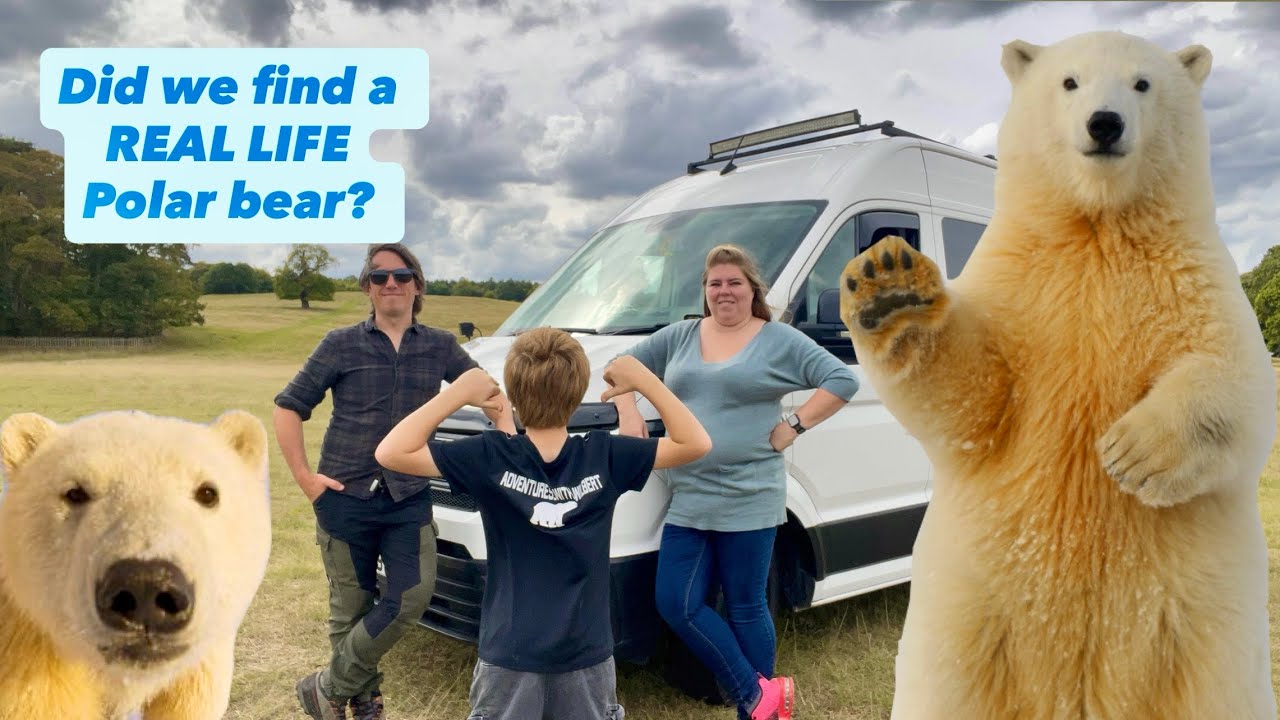 We Searched the UK for a REAL Polar Bear… Did We Get Lucky?! 🐻‍❄️🚐