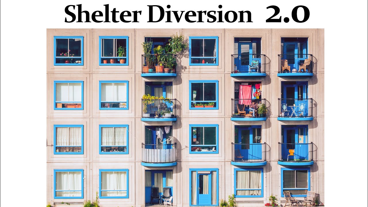 Shelter Diversion 2.0 Training