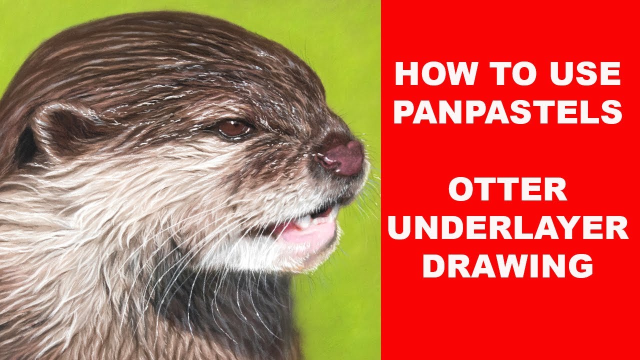 Using PanPastels - Otter pastel drawing Jason Morgan Art #panpastel #wildlifeart #pastelmat