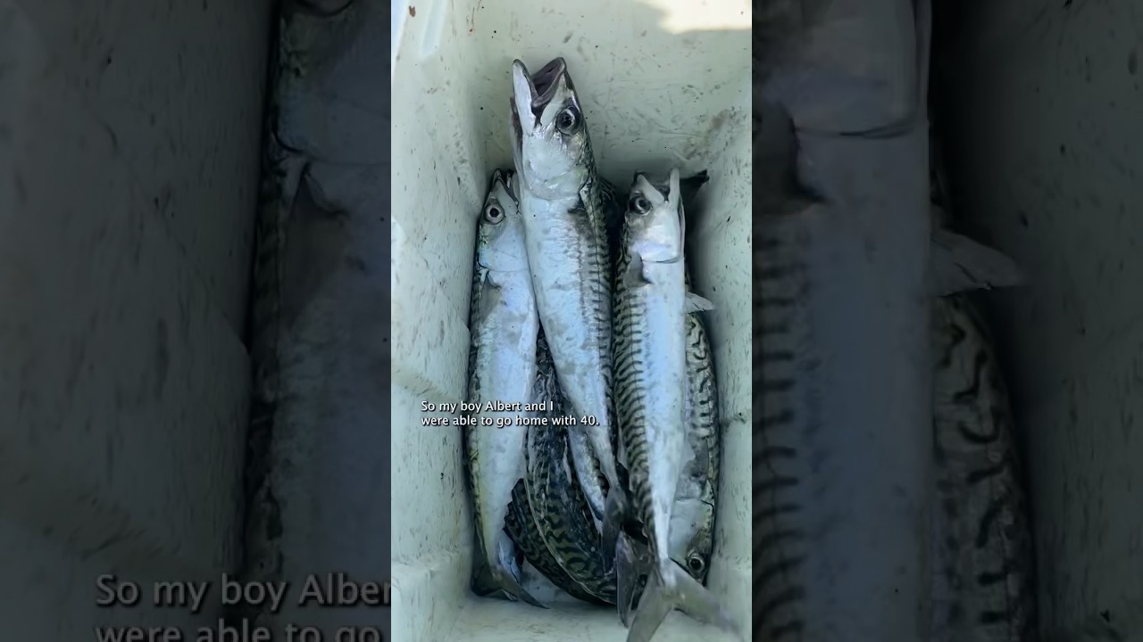 I ate a TRASH Fish (Catch Clean Cook) #shorts #fishing