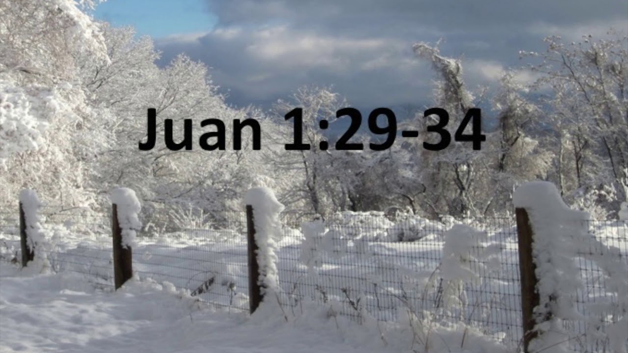 Estudio de Juan 1:29-34 - El cordero de Dios
