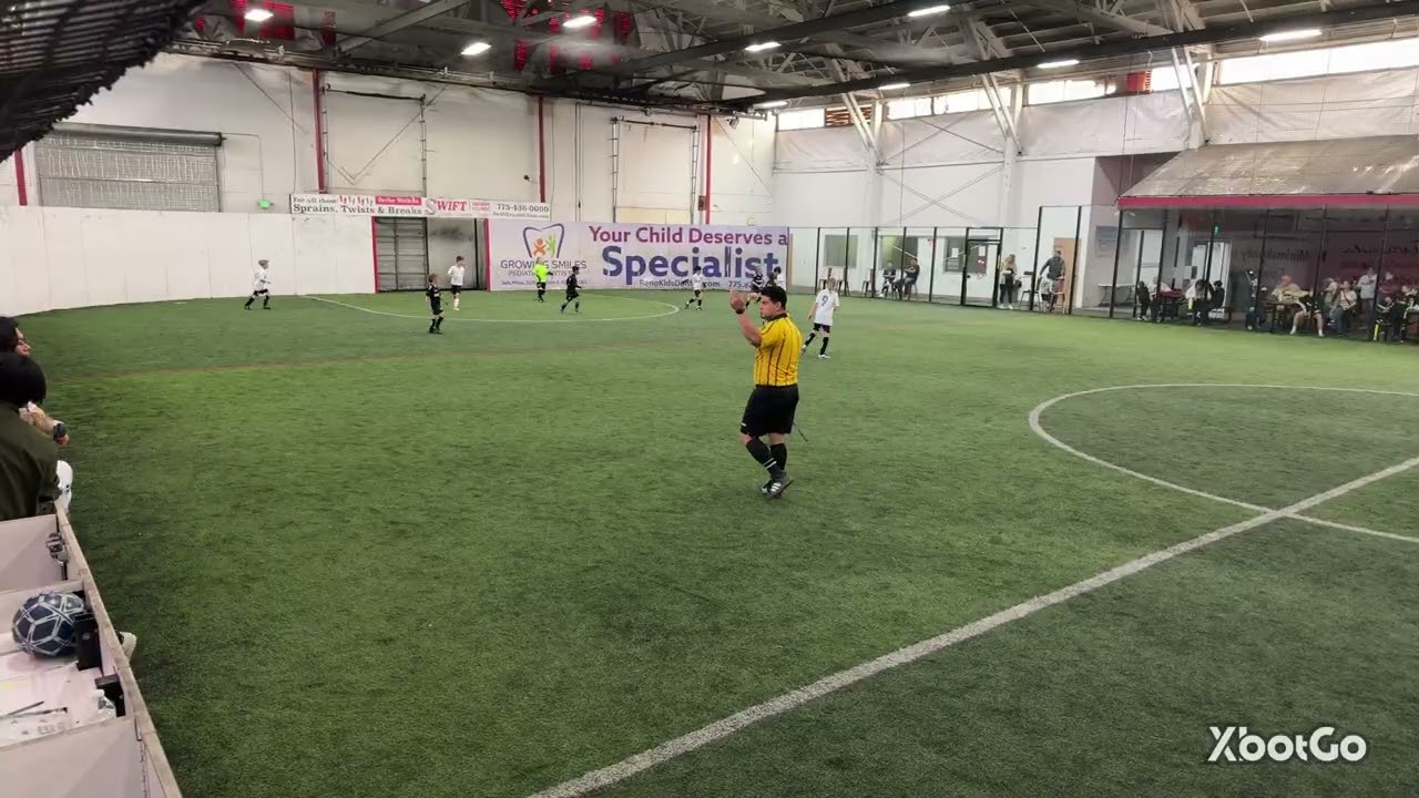 Apex 18 (2-6) Apex 17 Gold