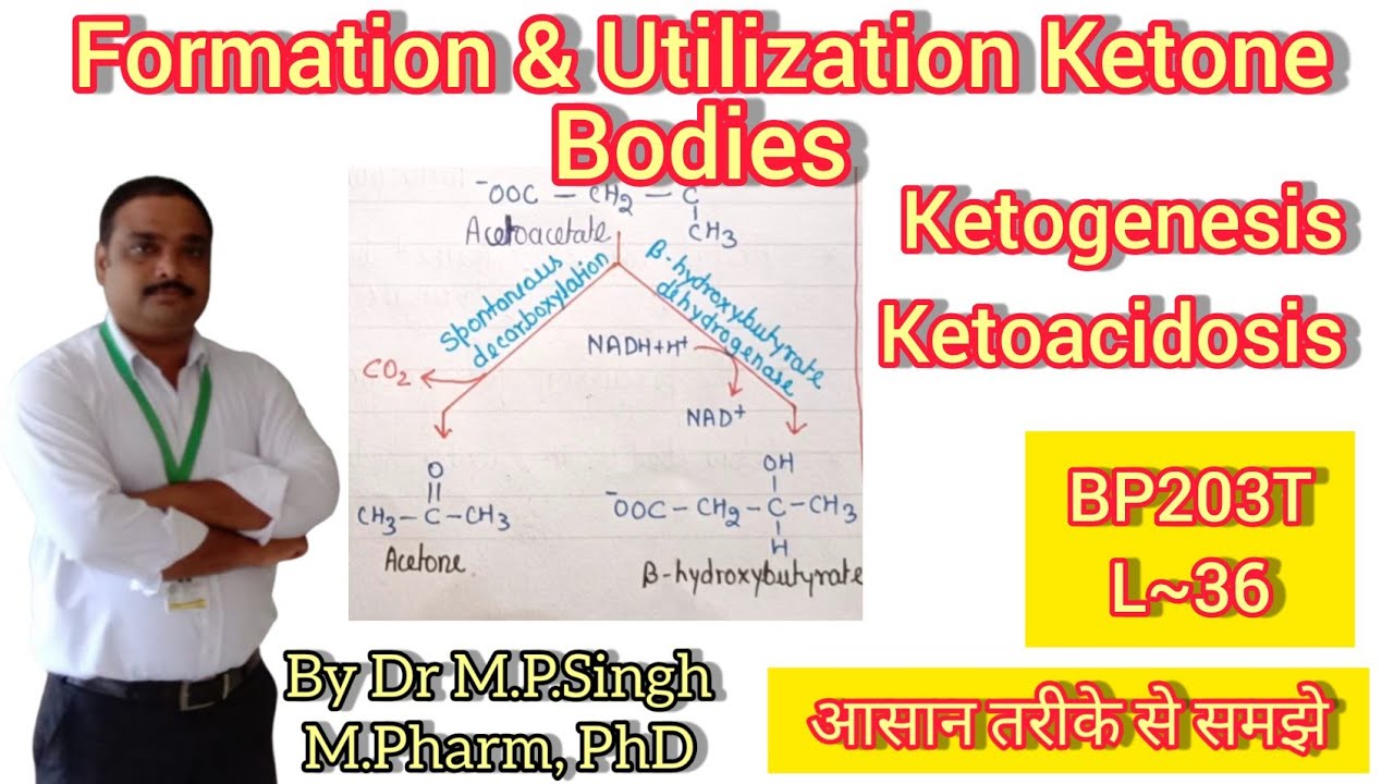 Formation & Utilization of Ketone Bodies | Ketogenesis | Ketoacidosis | Biochemistry | BP203T | L~36