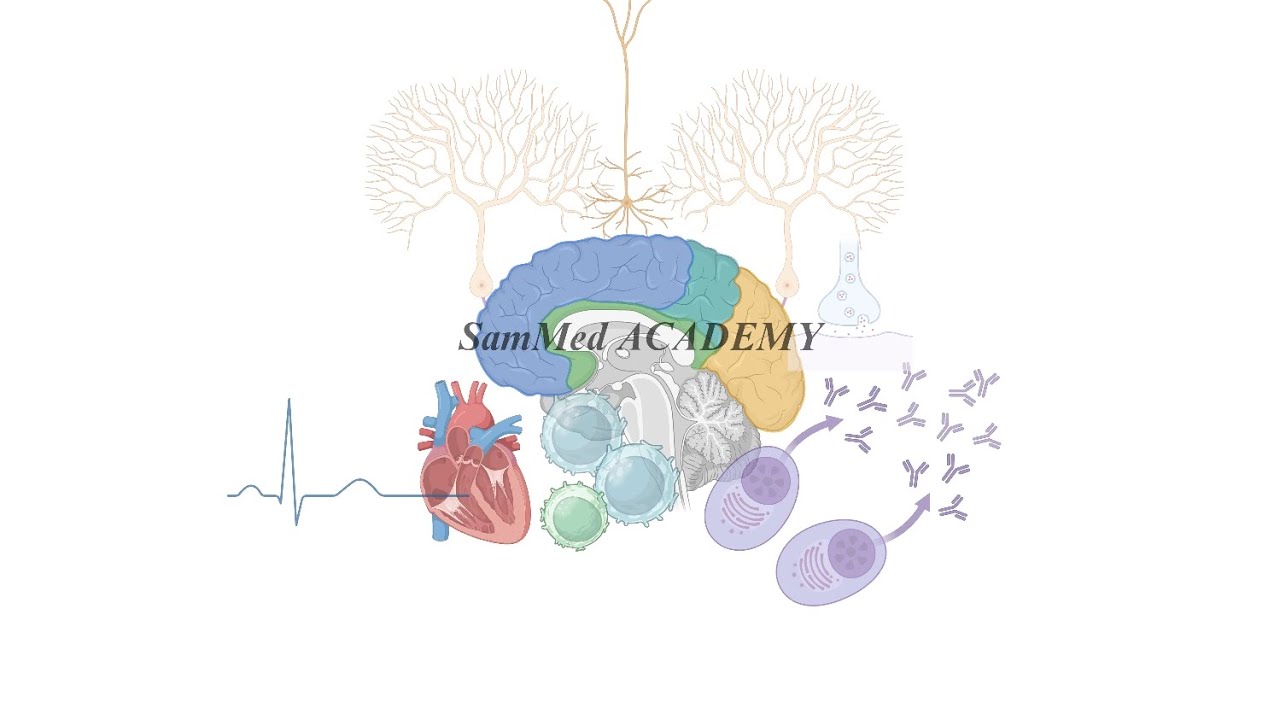 Sistema de complemento (CLÁSICA y LECTINAS) FÁCIL 😆