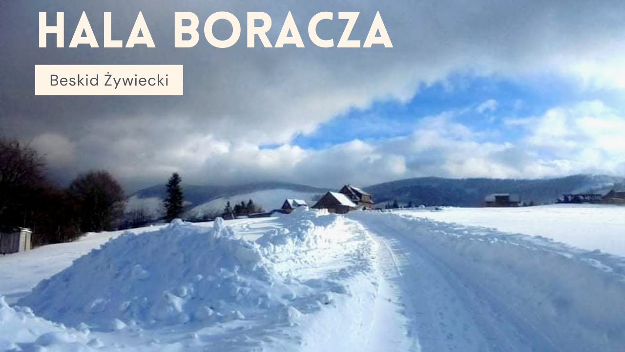 Hala Boracza  - Beskid Żywiecko - Orawski