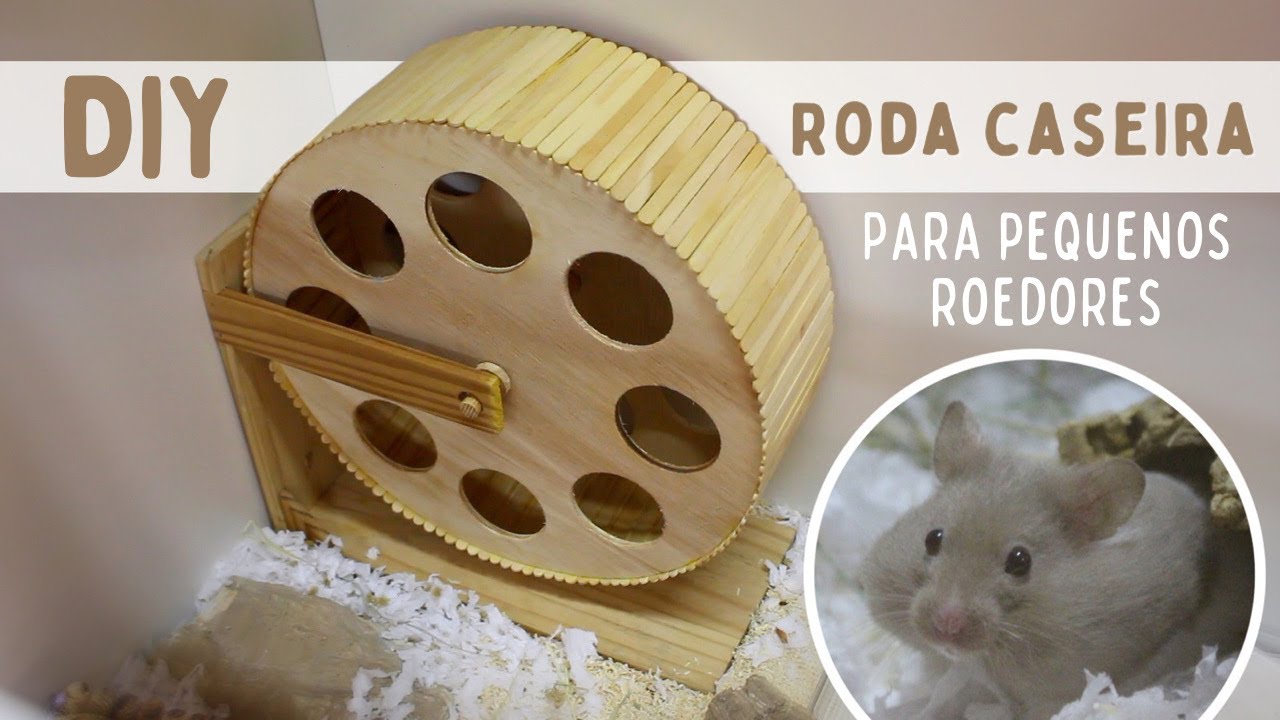 DIY RODA CASEIRA para pequenos roedores
