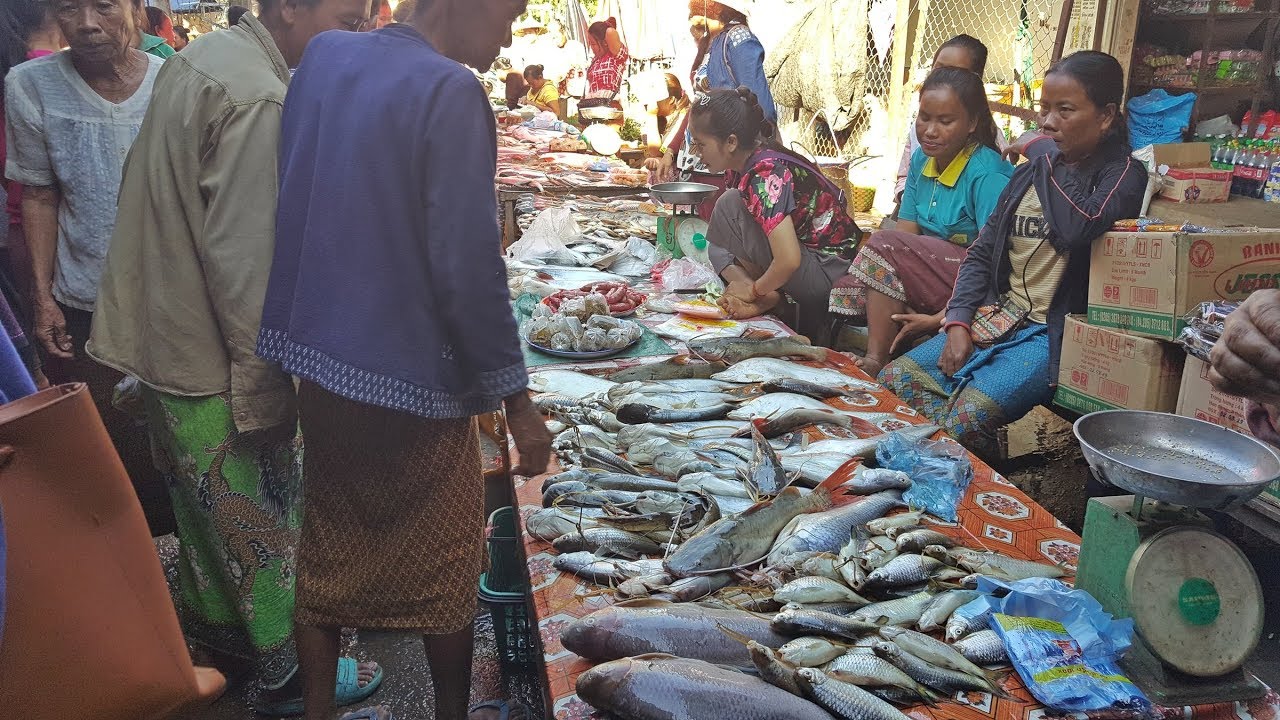 ลุยฝนในลาวใต้ EP70:ตลาดเช้าบ้านนากะสัง ตลาดขายปลาที่ใหญ่ที่สุดในสี่พันดอน  เมืองโขง แขวงจำปาสัก