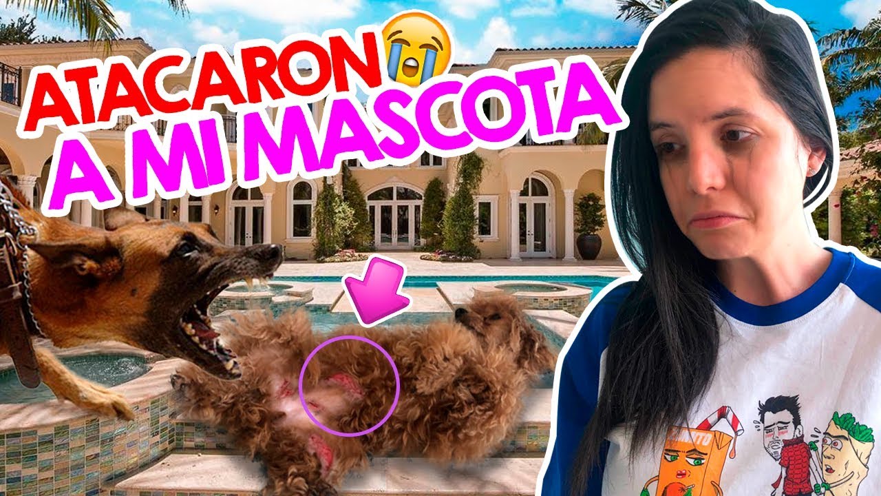 ATACAN a mi MASCOTA en fiesta para PERROS! Está todo grabado! EL MUNDO DE CAMILA