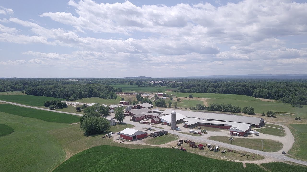 Holstein America: February 2019