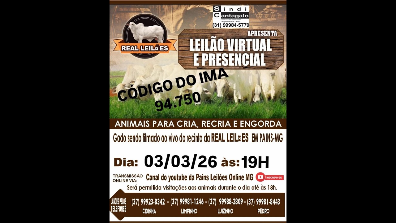 141º Leilão Virtual - Real Leilões - Pains MG