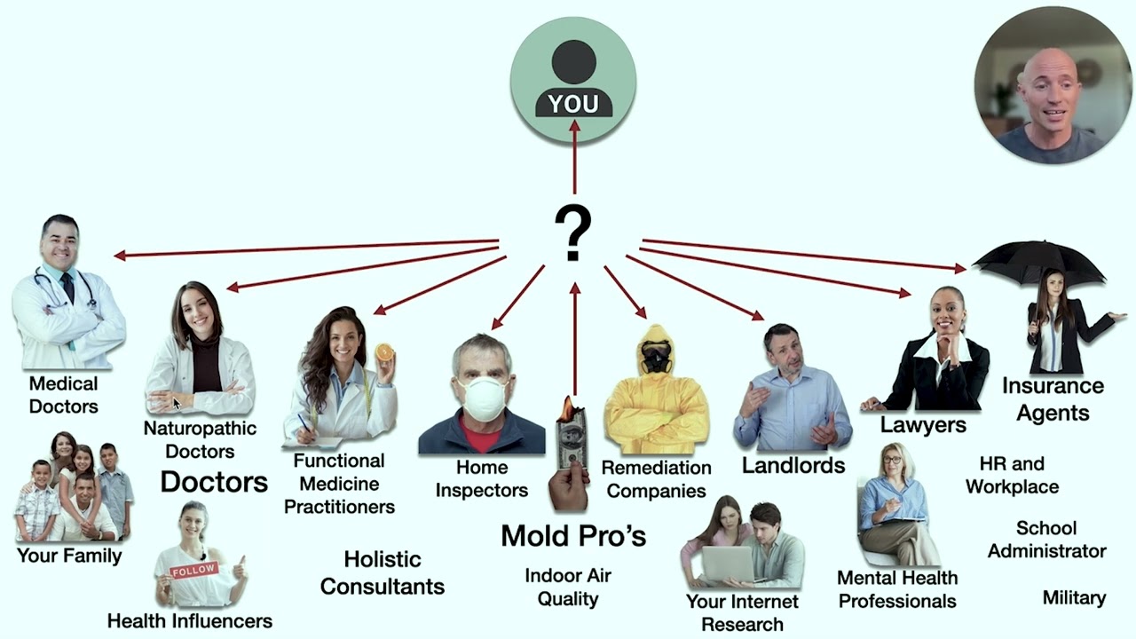 Toxic Mold Hero: How to Conquer Overwhelm