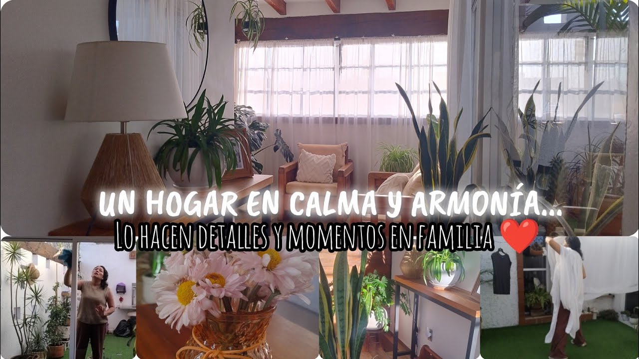 PLÁTICA DE AMIGAS🩷AMA DE CASA/MEXICANA/ MAMÁ DE DOS VARONES/ SUEÑOS POR CUMPLIR 💫 HOGAR CON AMOR ❤️