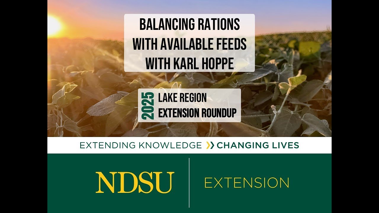 Balancing Rations with Available Feeds