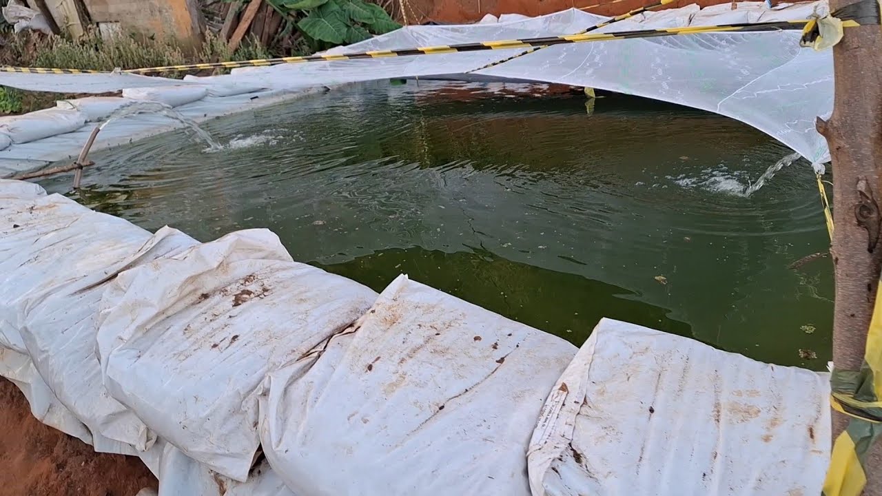Mostrando o meu lago 🐟🐟🐟🐟🏝️🐟🏝️