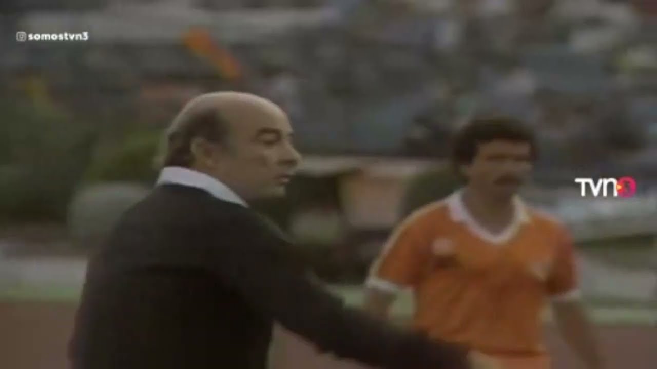 Goles Fecha 29 Campeonato Nacional 1986