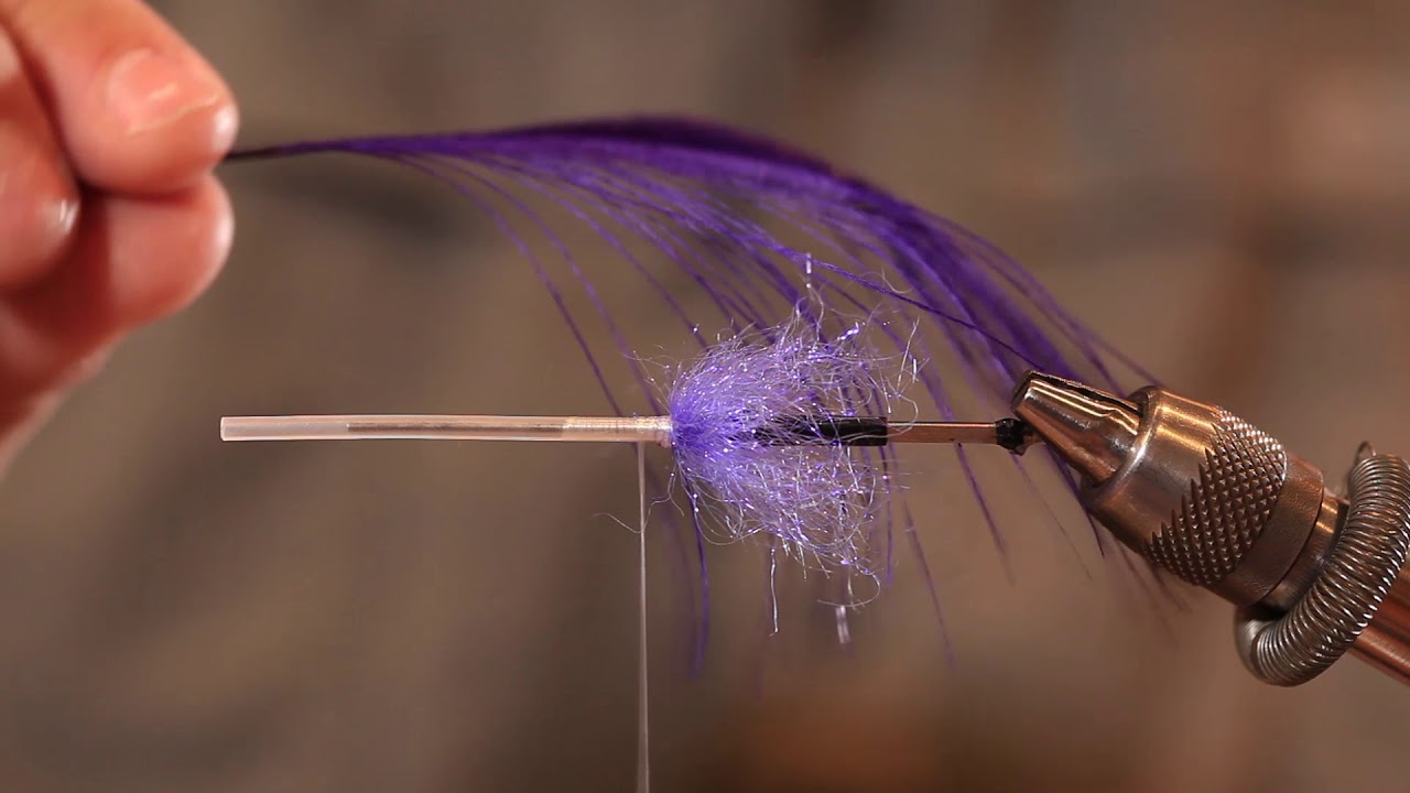 Confluence Fly Shop–How to Tie an Intruder