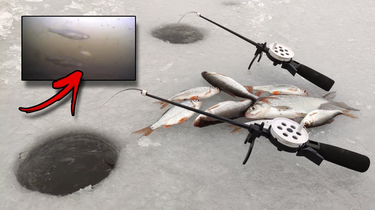 Podlodowy FEEDER !!! + KAMERA PODWODNA